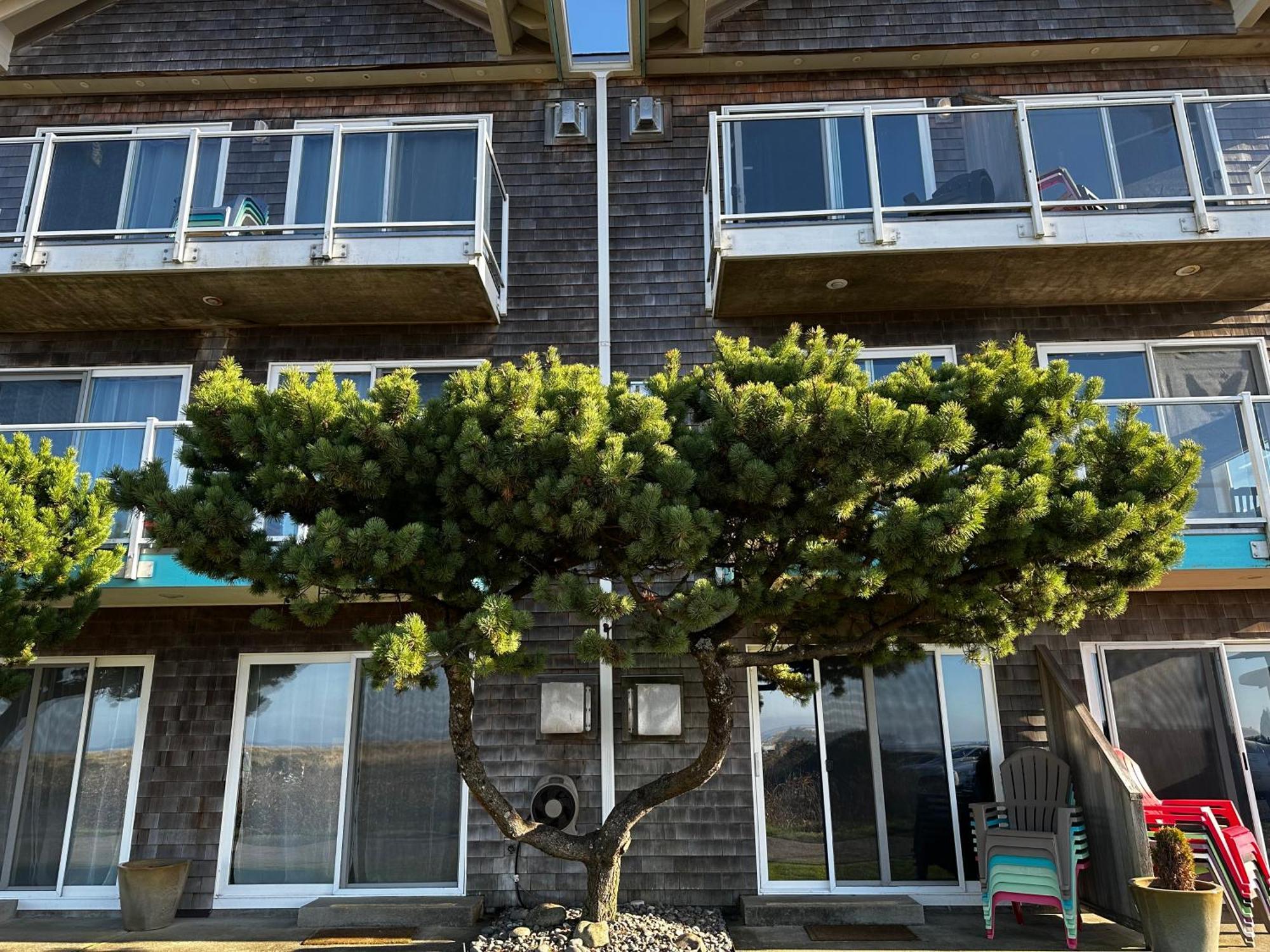 סיסייד Inn At The Shore מראה חיצוני תמונה